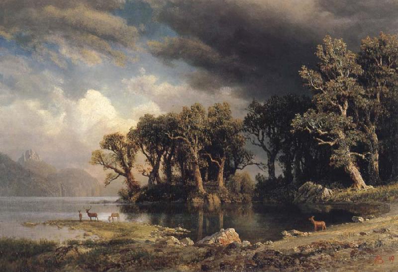 Albert Bierstadt The Coming Storm Sweden oil painting art